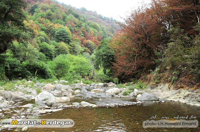 طبیعت اشکورات طبیعت اشکورات