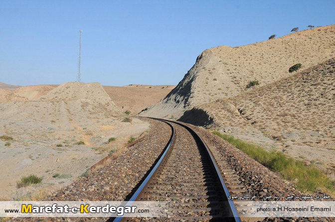 طبیعت سرخس طبیعت سرخس