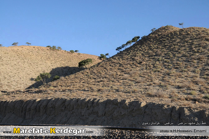 طبیعت سرخس طبیعت سرخس