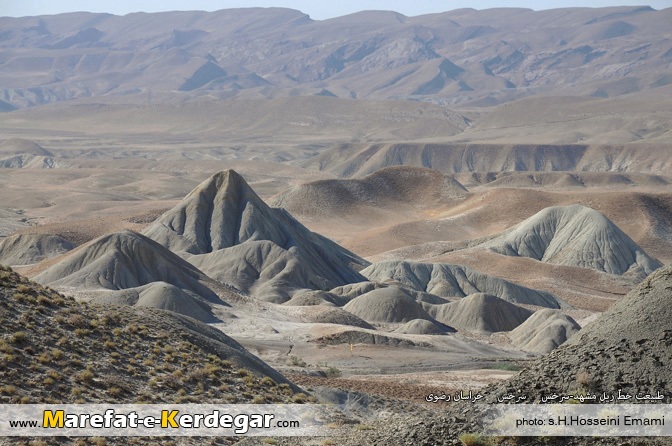 طبیعت سرخس طبیعت سرخس