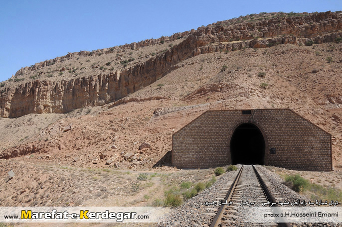 جنگل پسته سرخس جنگل پسته سرخس