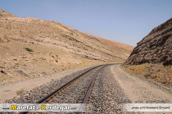 تصاویر سرخس تصاویر سرخس