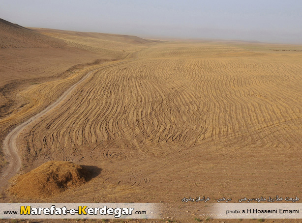 زمین های زراعی سرخس زمین های زراعی سرخس