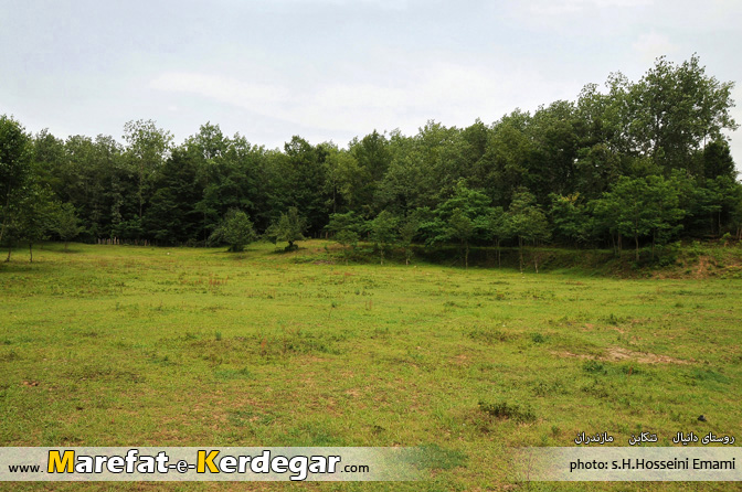 روستای دانیال روستای دانیال