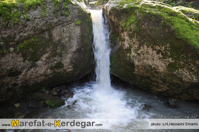 جنگل مینودشت جنگل مینودشت