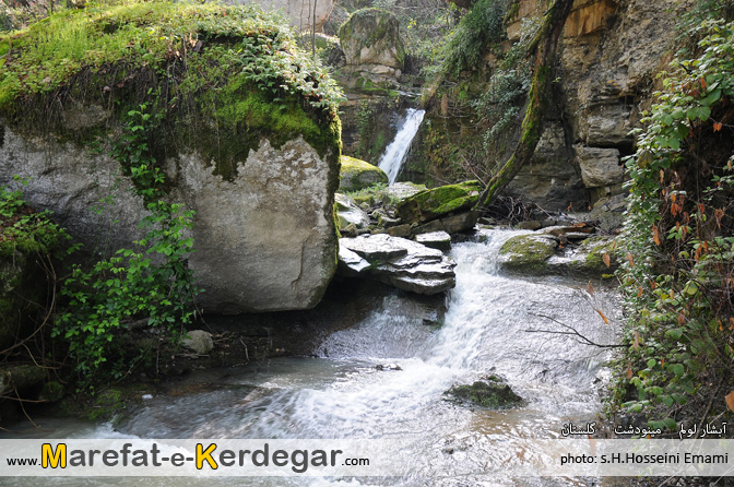 جنگل های مینودشت جنگل های مینودشت