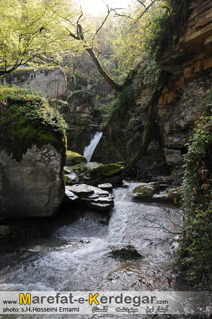 جنگل های مینودشت جنگل های مینودشت