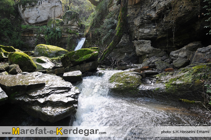 جنگل های استان گلستان جنگل های استان گلستان