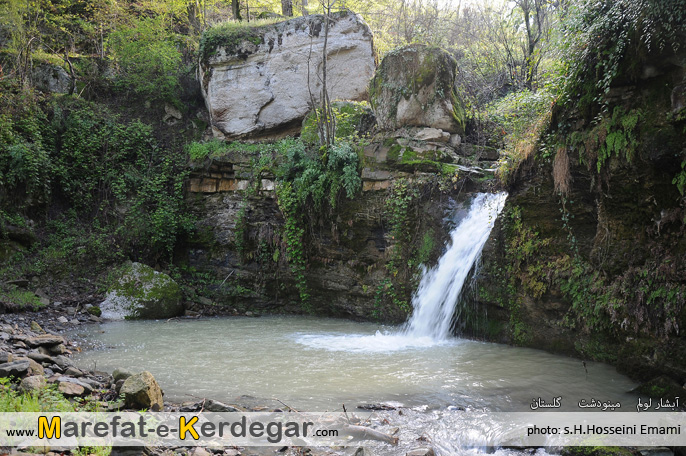 جنگل های استان گلستان جنگل های استان گلستان