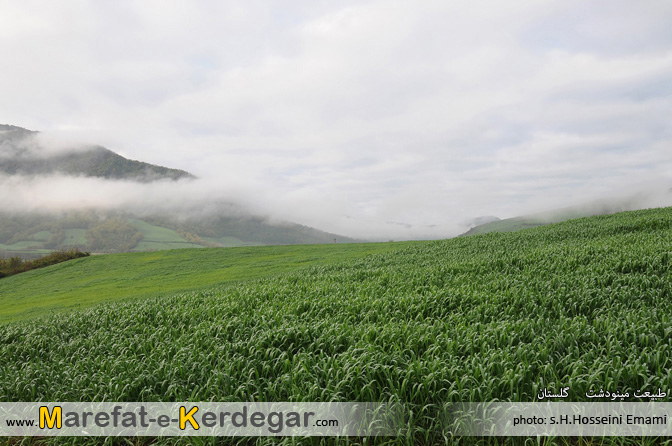 طبیعت مینودشت طبیعت مینودشت