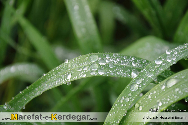 طبیعت استان گلستان طبیعت استان گلستان