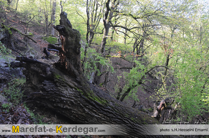 طبیعت استان گلستان طبیعت استان گلستان