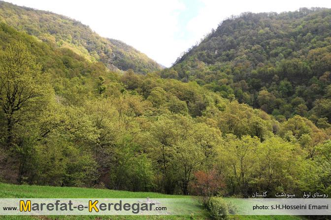 جاهای دیدنی مینودشت جاهای دیدنی مینودشت