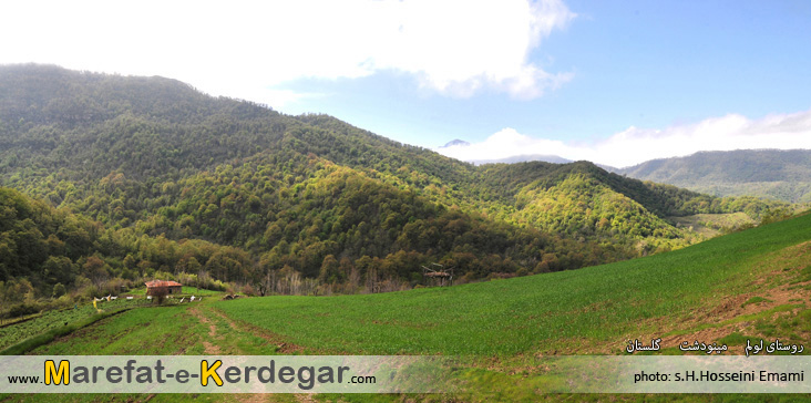 ییلاقات مینودشت ییلاقات مینودشت