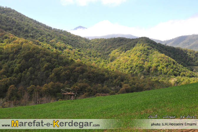 ییلاقات مینودشت ییلاقات مینودشت