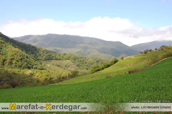 طبیعت بهاری مینودشت طبیعت بهاری مینودشت