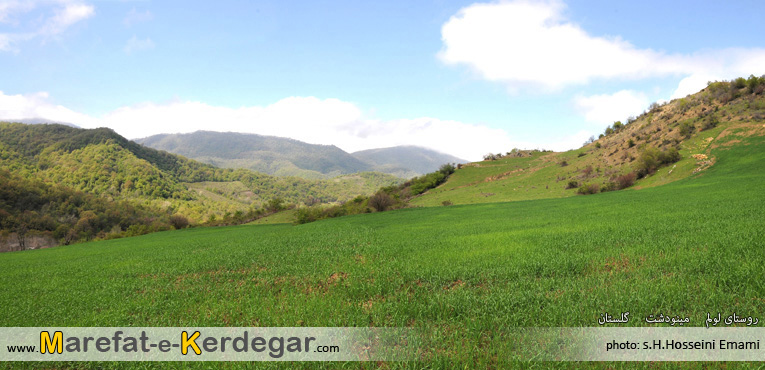 طبیعت بهاری مینودشت طبیعت بهاری مینودشت