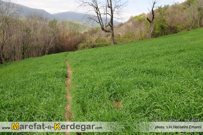 بهار مینودشت بهار مینودشت