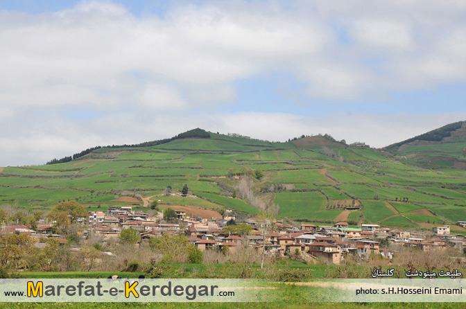 طبیعت بهاری استان گلستان طبیعت بهاری استان گلستان