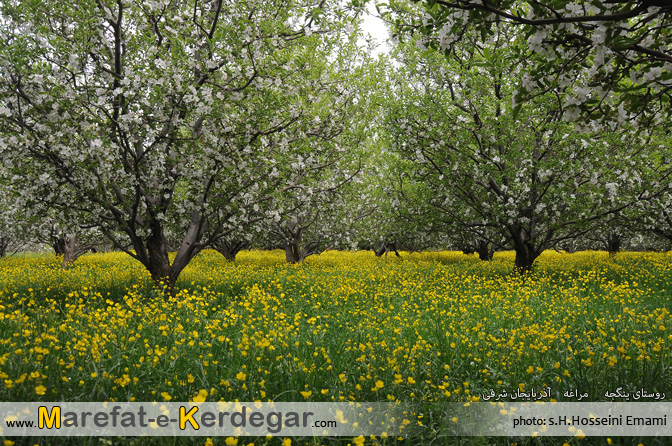 جاذبه های طبیعی مراغه جاذبه های طبیعی مراغه