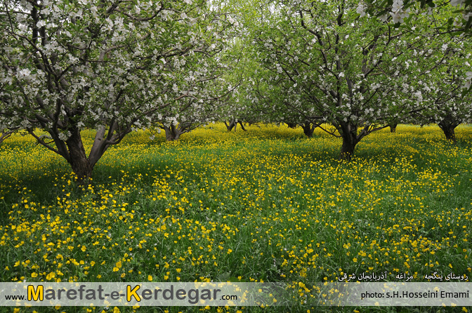 طبیعت مراغه طبیعت مراغه