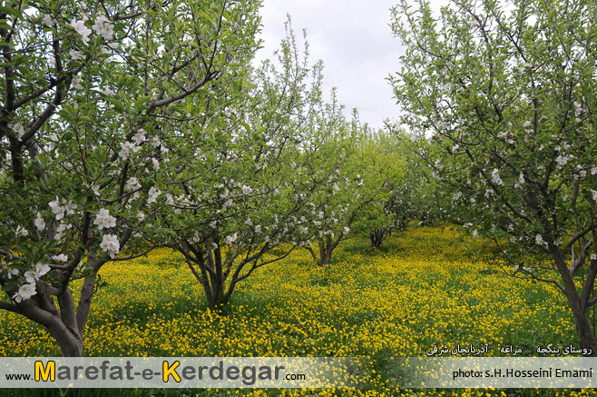 طبیعت مراغه طبیعت مراغه