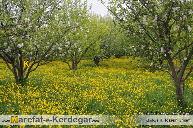 طبیعت کوهپایه های سهند طبیعت کوهپایه های سهند