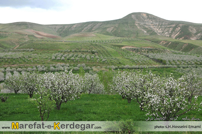 بهار روستای ینگجه بهار روستای ینگجه
