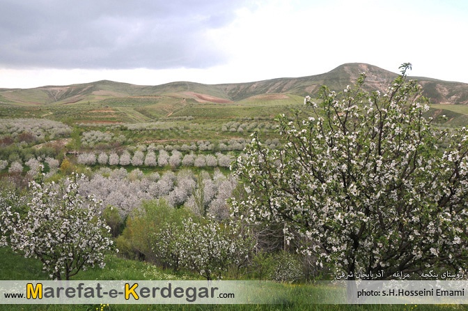 بهار مراغه بهار مراغه