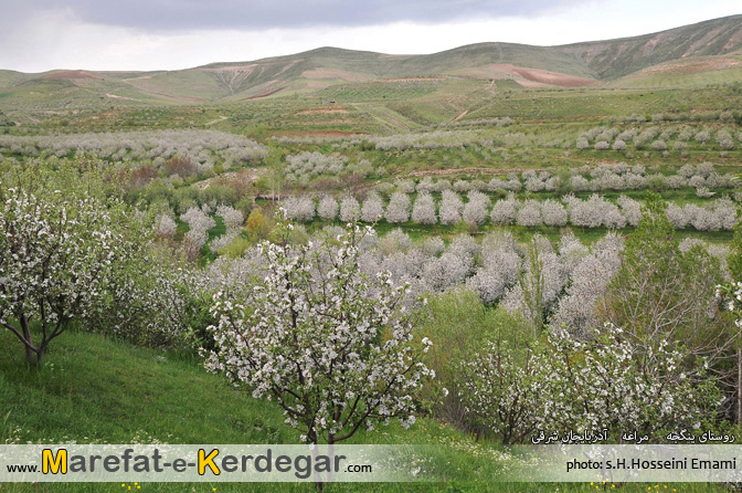 بهار مراغه بهار مراغه