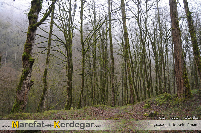 طبیعت تنکابن طبیعت تنکابن