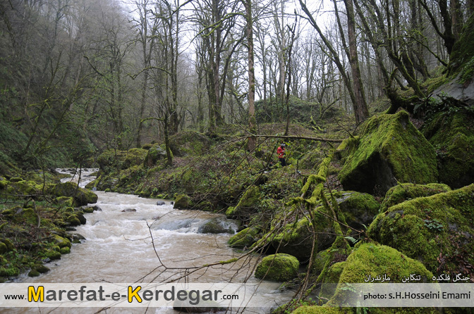 رودهای تنکابن رودهای تنکابن