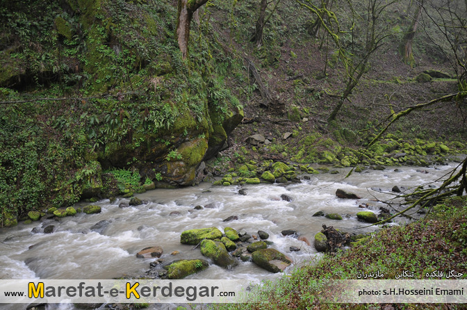 آبگرم فلکده آبگرم فلکده