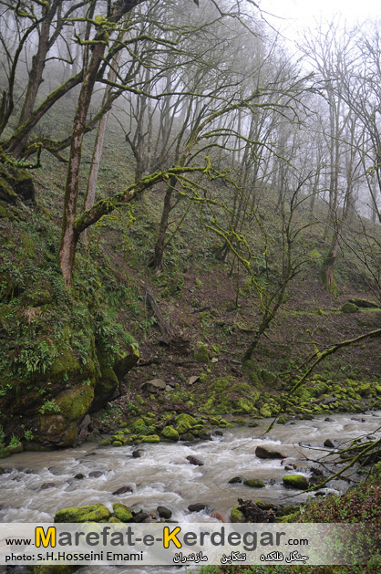 آبگرم فلکده آبگرم فلکده