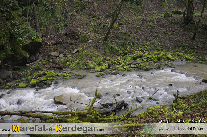 آبگرم فلکده آبگرم فلکده