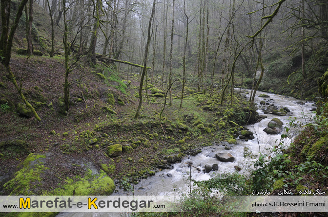 رودخانه های تنکابن رودخانه های تنکابن