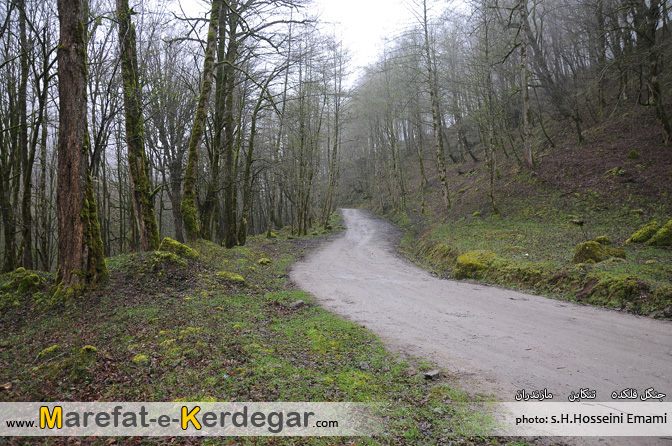 طبیعت تنکابن طبیعت تنکابن