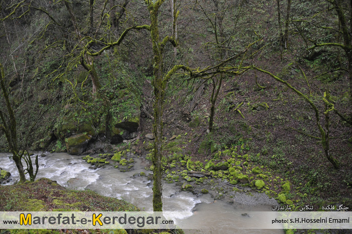 رودخانه های تنکابن رودخانه های تنکابن