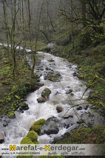 رودخانه های تنکابن رودخانه های تنکابن
