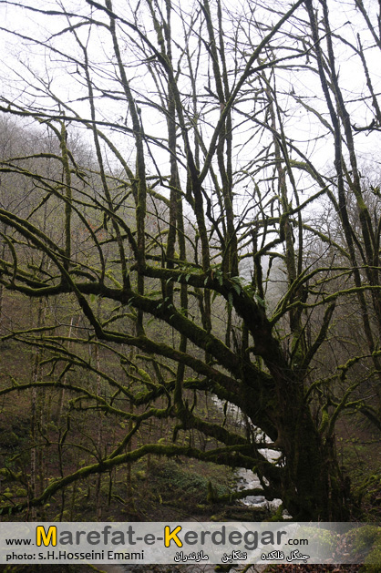 دره های تنکابن دره های تنکابن