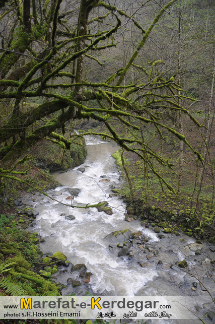 رودهای مازندران رودهای مازندران