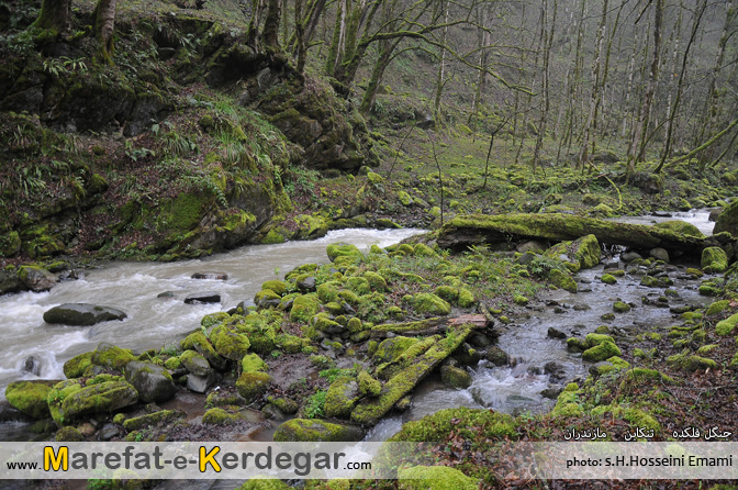 دیدنی های تنکابن دیدنی های تنکابن