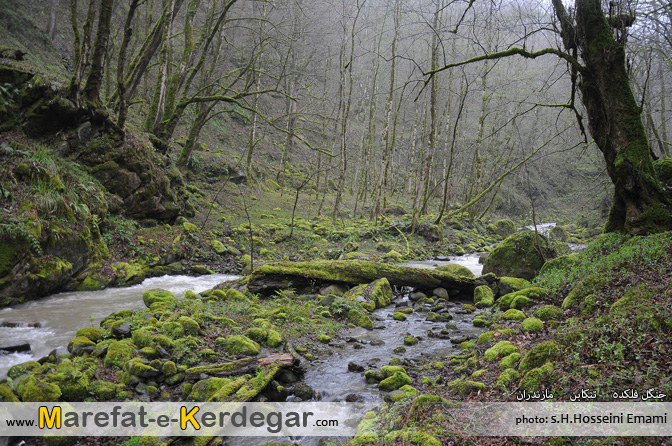 دیدنی های تنکابن دیدنی های تنکابن