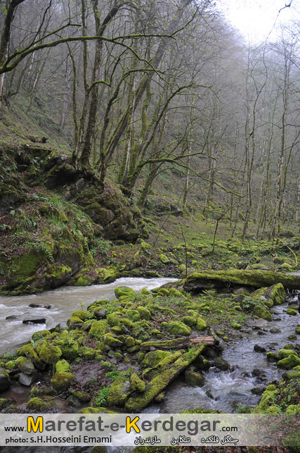 دیدنی های تنکابن دیدنی های تنکابن