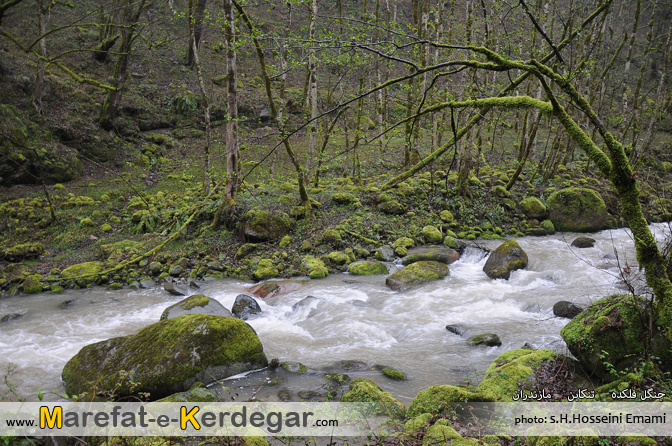 جاهای دیدنی تنکابن جاهای دیدنی تنکابن