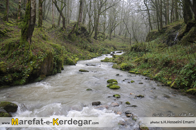 گردشگری تنکابن گردشگری تنکابن