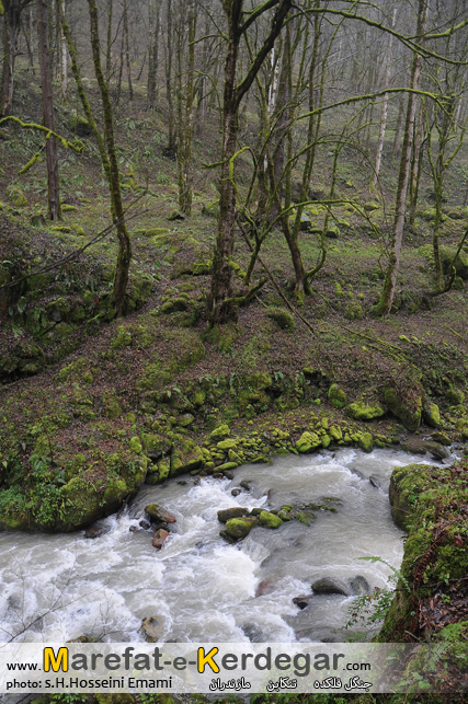 جاذبه های گردشگری تنکابن جاذبه های گردشگری تنکابن