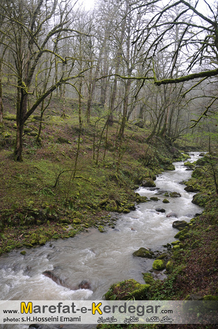 جاذبه های گردشگری تنکابن جاذبه های گردشگری تنکابن