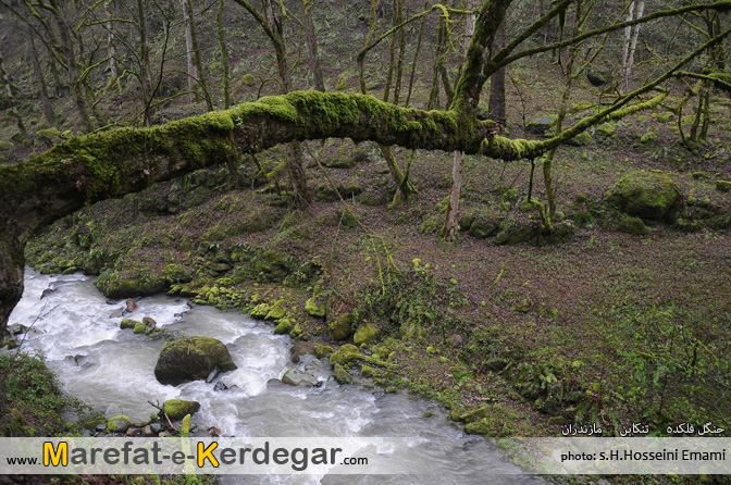 اماکن توریستی تنکابن اماکن توریستی تنکابن