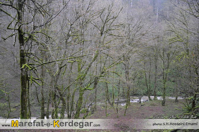 جاذب های طبیعی تنکابن جاذب های طبیعی تنکابن